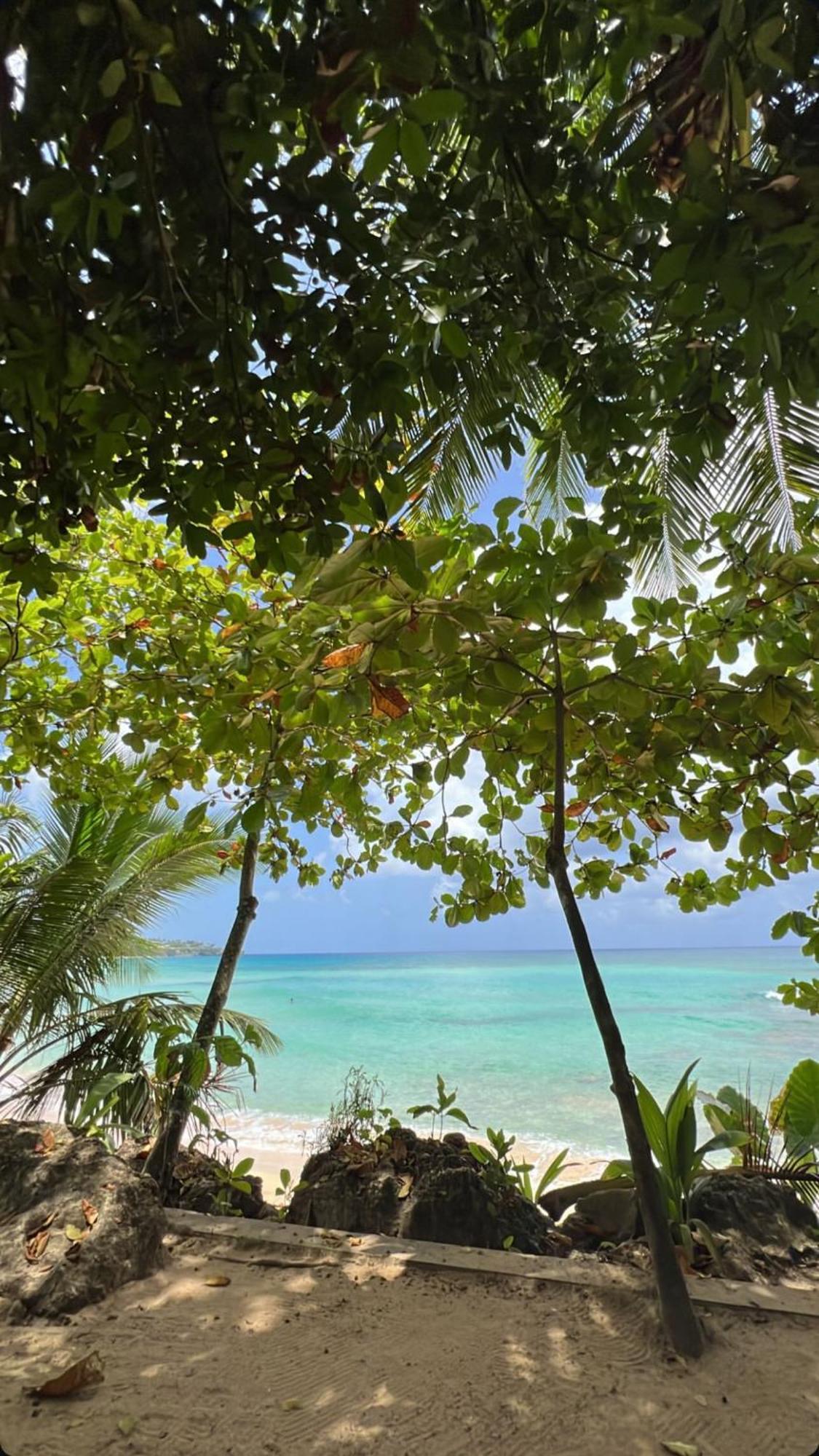 Elegante Apartamento A 100 Mts La Playa De Los Minos Rsj Río San Juan Exteriér fotografie